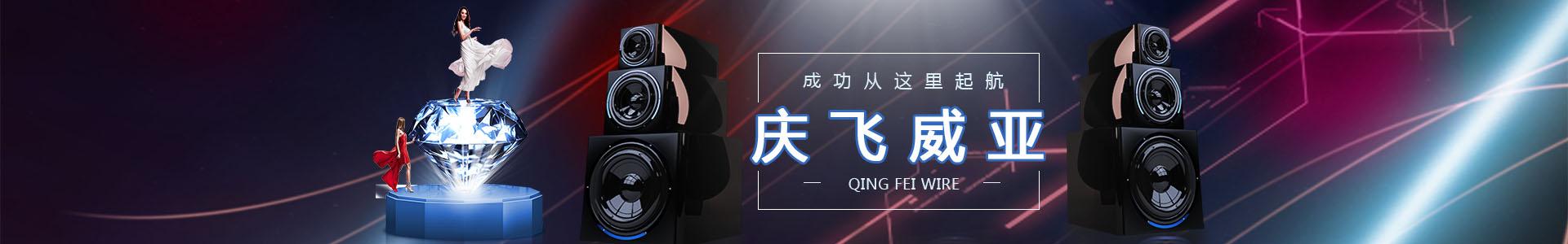 banner_1920x300_经典案例_01